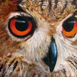 European Eagle Owl in Oil