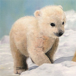 Polar Bear Cub in Oil