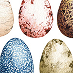 Eggs in Watercolor - Based on class from Sharone Stevens