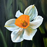 Narccissus in Oil