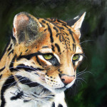 Ocelot in Oil